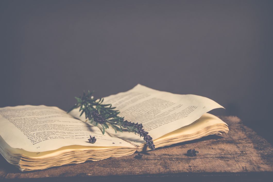 https://www.pexels.com/photo/sepia-photography-of-green-plant-on-top-of-open-book-810029/