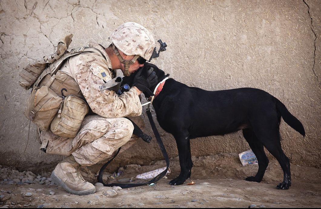 https://www.pexels.com/photo/soldier-and-black-dog-cuddling-34504/