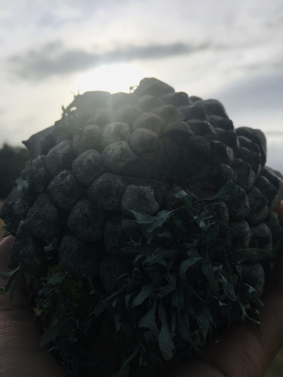 5 Assumptions About New Zealand Culture & What Changed