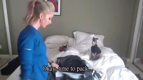 Packing For College, Explained By Gifs