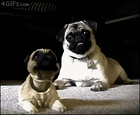image.gif