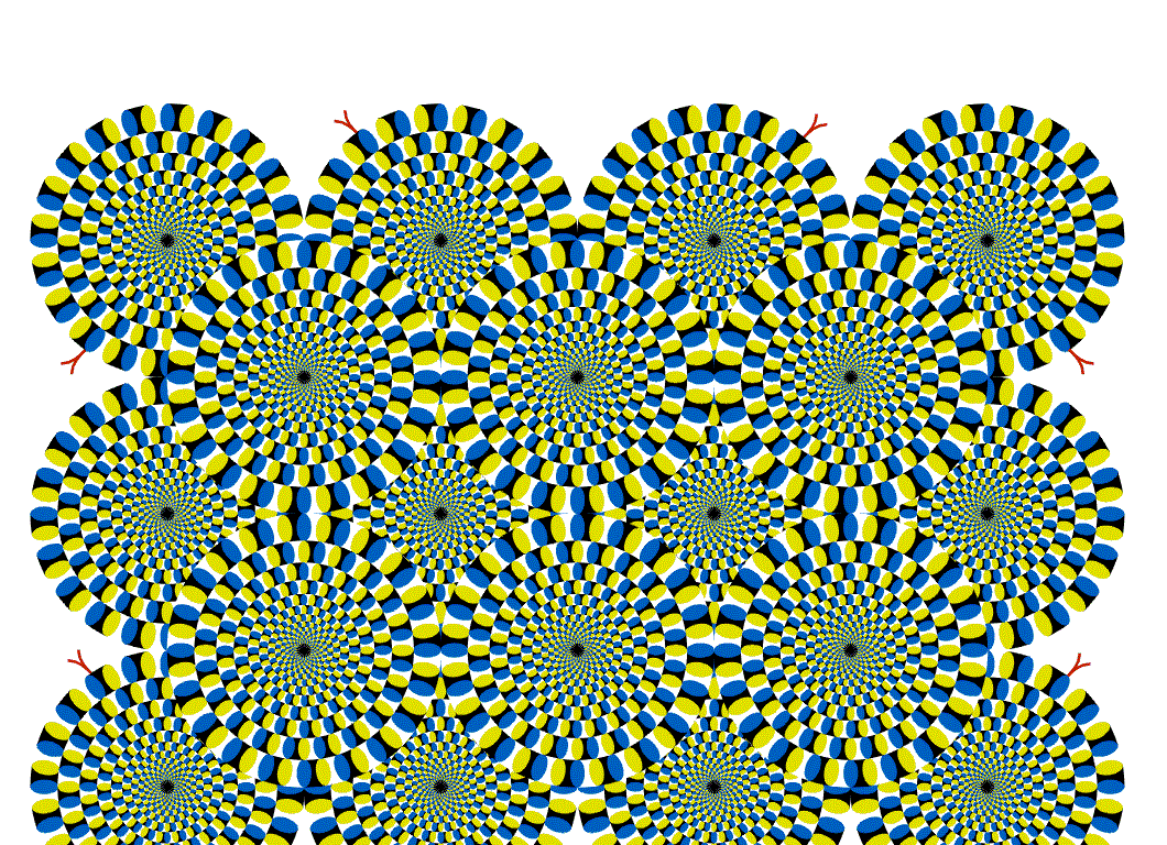 11 Optical Illusions That You Won't Be Able To Stop Thinking About For Days
