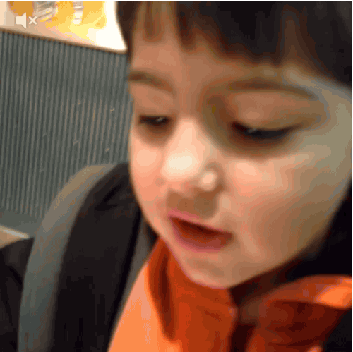 5 Reasons Why Vine Shouldn't Have Died