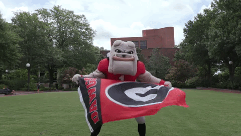 8 Reasons to come to the University of Georgia