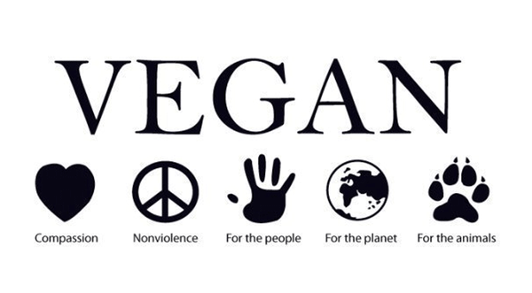 Becoming Vegan Has Been One Of The Best Decisions I Have Ever Made