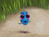 Finding Dory is Better Than Finding Nemo