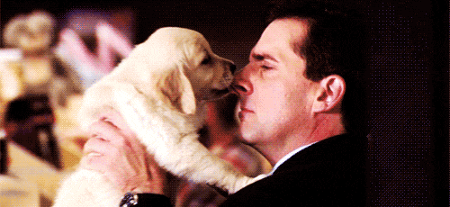 11 Times Puppies Gave You A Reason To Smile