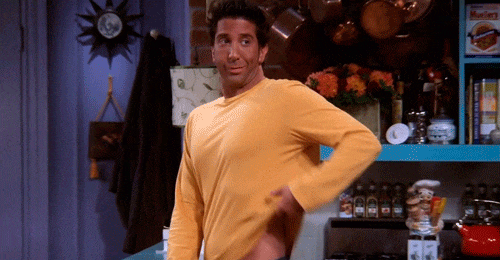 Summer Plans As Told By Ross Geller