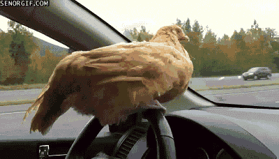 12 Things You Think When You Drive Through a City