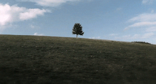 Why You Should Watch 'Six Feet Under' If You Haven't Already