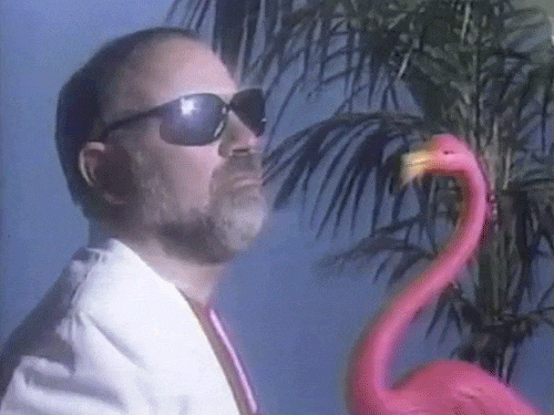 11 Things That Make Florida The Weirdest State.