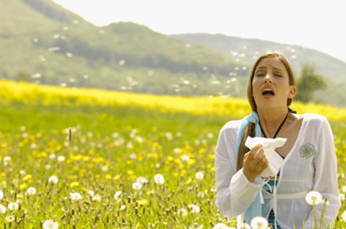 A Break Up Letter To My Allergies