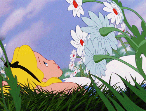 The Top 5 Best Things About Spring