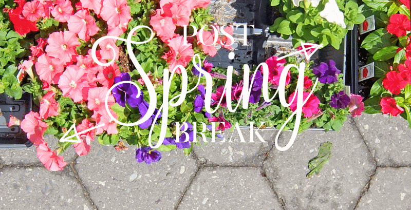 Post-Spring Break Detox