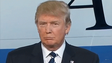 17 Ridiculous Things Donald Trump Has Said