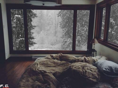 Snow Days In The South