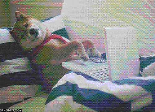 An Open Letter From A Dog