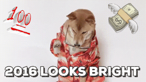 16 Things To Look Forward To In 2016