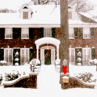 15 Little Things You Miss When You Are Away From Home