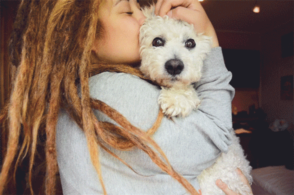 13 Reasons Why A Dog Is Your Soulmate