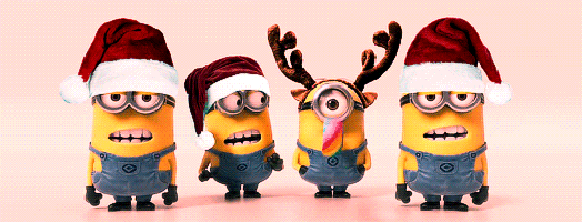 14 Adorable Christmas-Themed Animal Pictures
