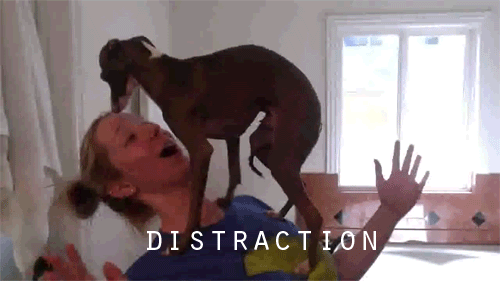 The 10 Stages We All Go Through During Finals Week