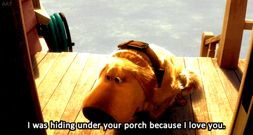 Why All Campuses Should Invest In A Puppy