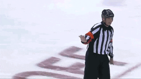 Thoughts Hockey Fans Have While Watching The Refs