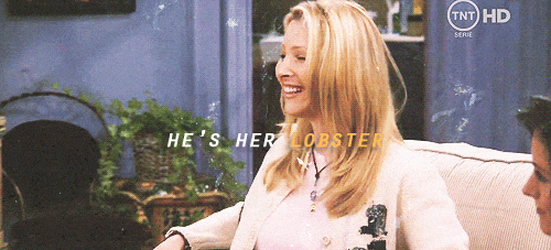 Fifteen Things That Happen When You Find Your Lobster