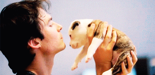 10 Dog Gifs To Make You Smile