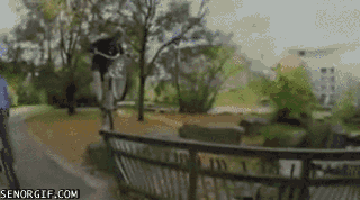 What It Feels Like To Fall Off Your Bike In Public
