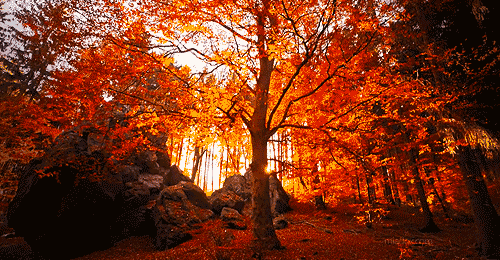 9 Reasons To Be Excited For Fall