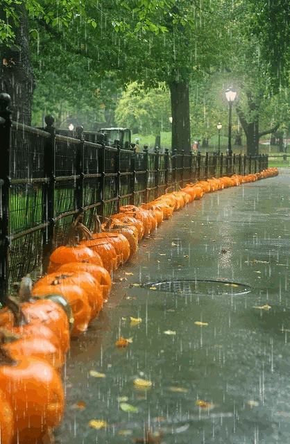 Falling for Fall