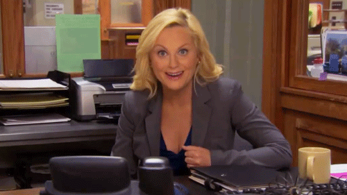 Why Leslie Knope Should be Every Womans' Role Model