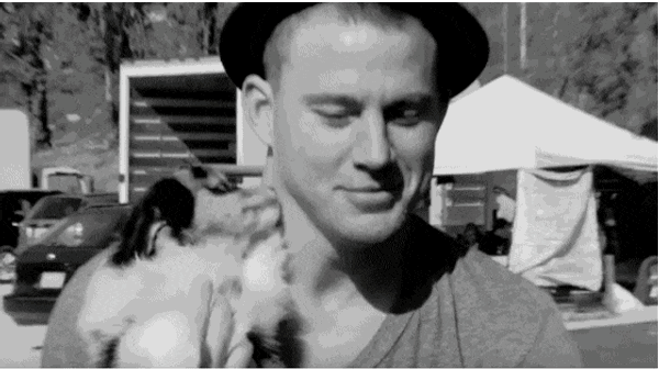 28 Signs You Are In Love With Your Dog
