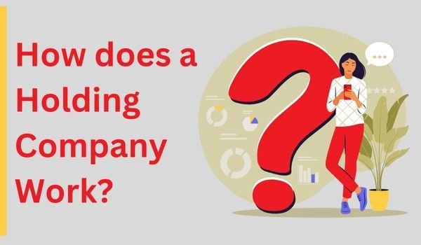 How does a Holding Company Work?