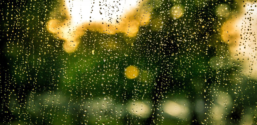 Poetry On Odyssey: Changing With The Rain