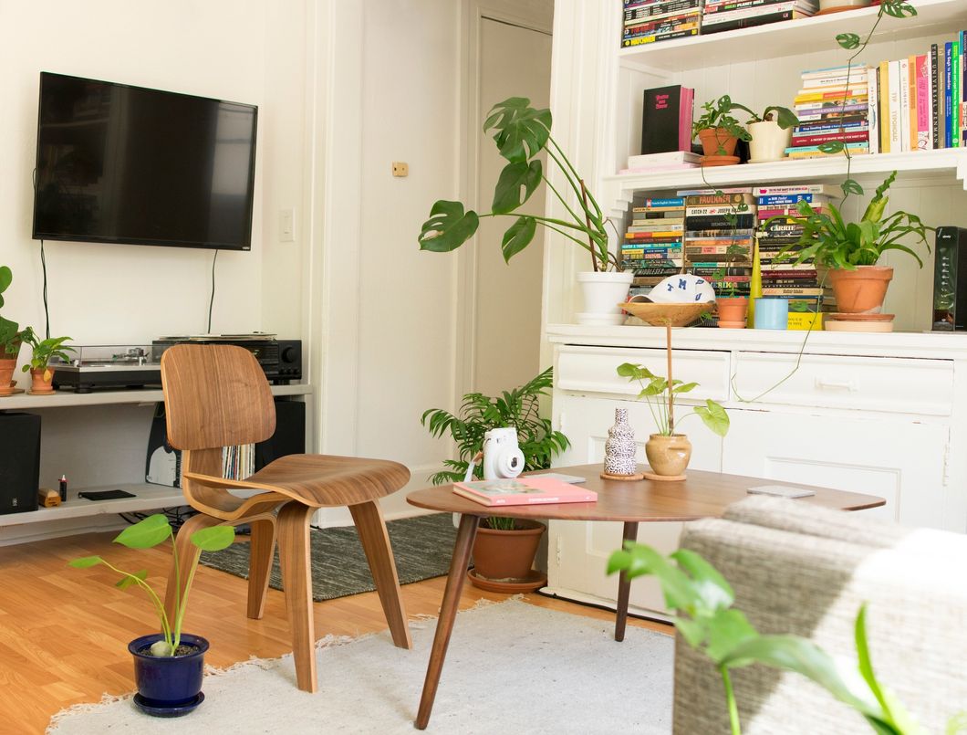 4 Plants That Would Go Great In Your Dorm Room