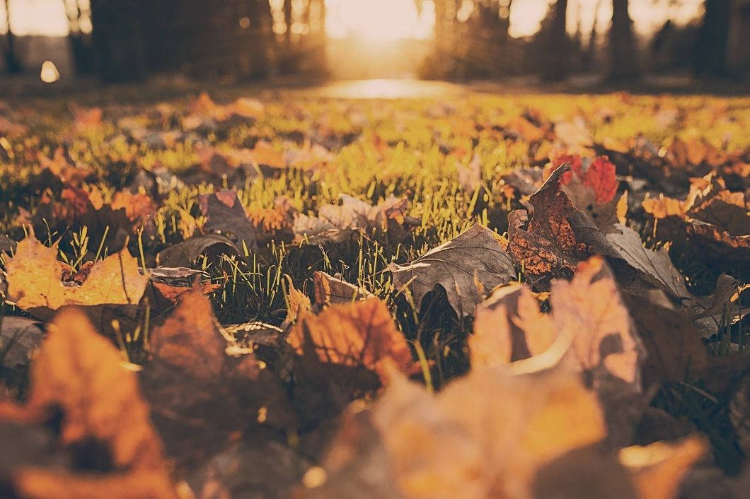 10 Reasons To Be Ready For Fall
