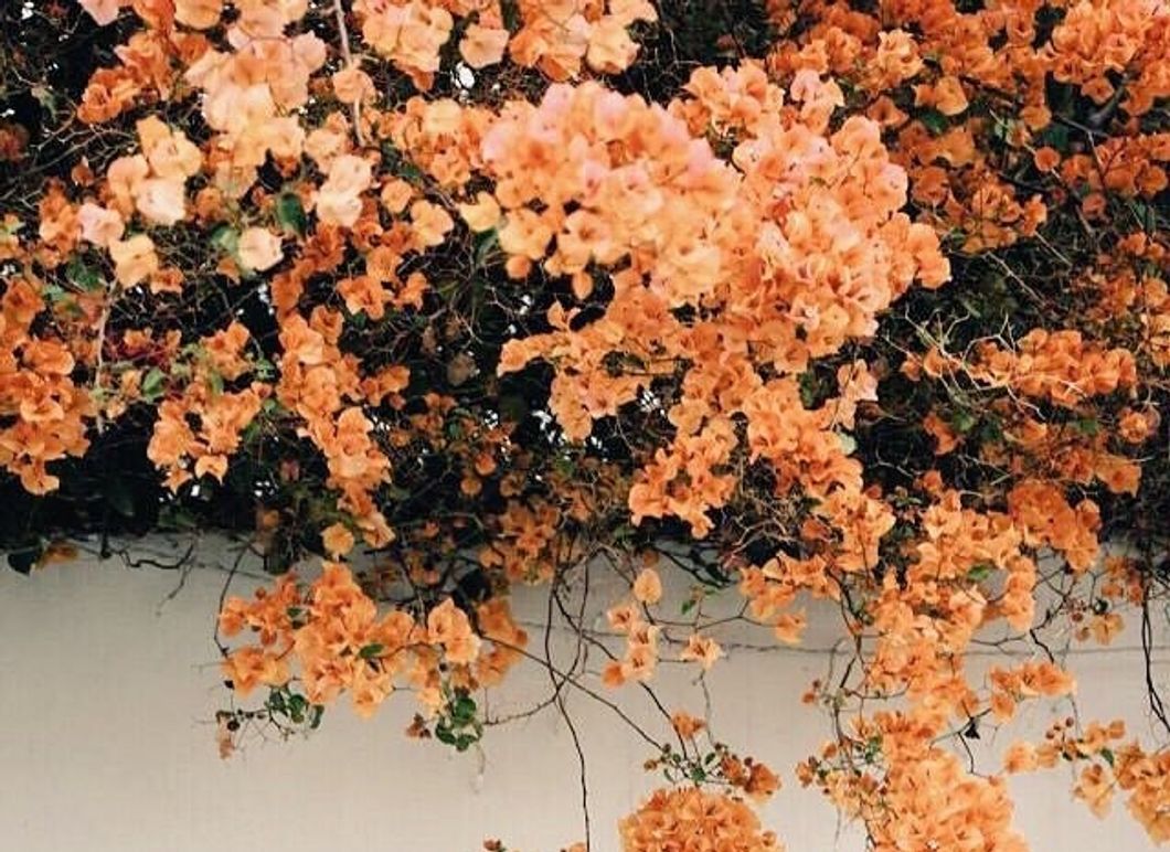 10 Summer Filters For The Perfect Instagram Aesthetic