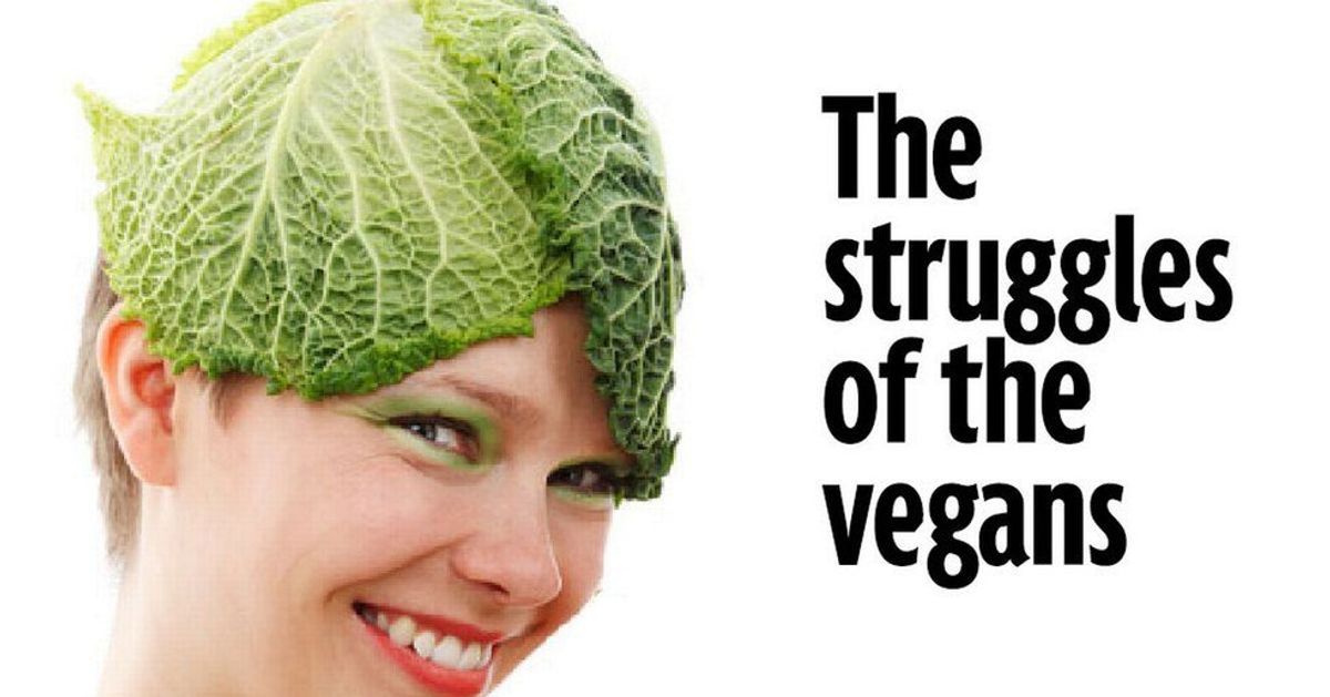 5 Things NEVER To Say To A Vegan