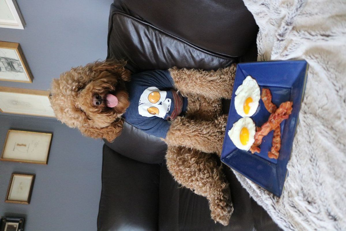 Teddy chows down on Oscar buzz