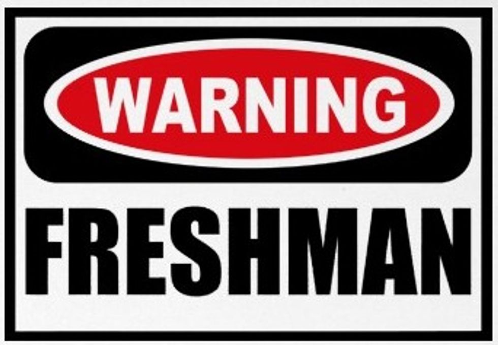 Freshmen:  Hate ‘em or Wanna Be ‘em?