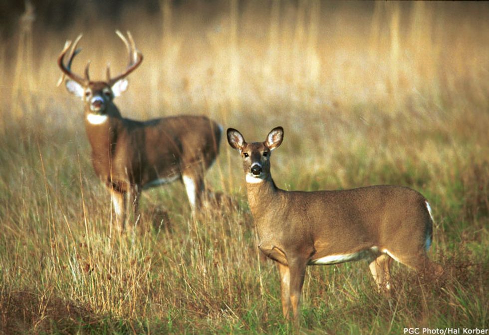 Dating During Deer Season