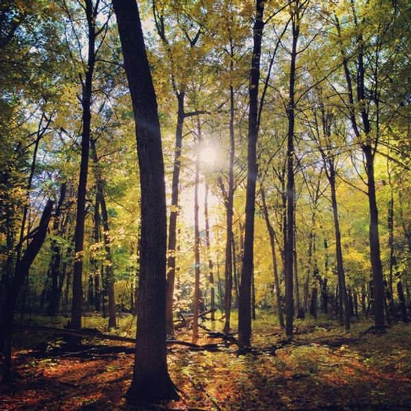 4 Fall Trends: For Men