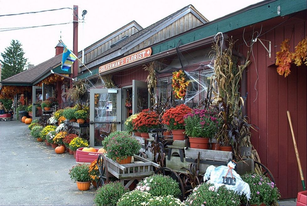 FALLing Into Nostalgia