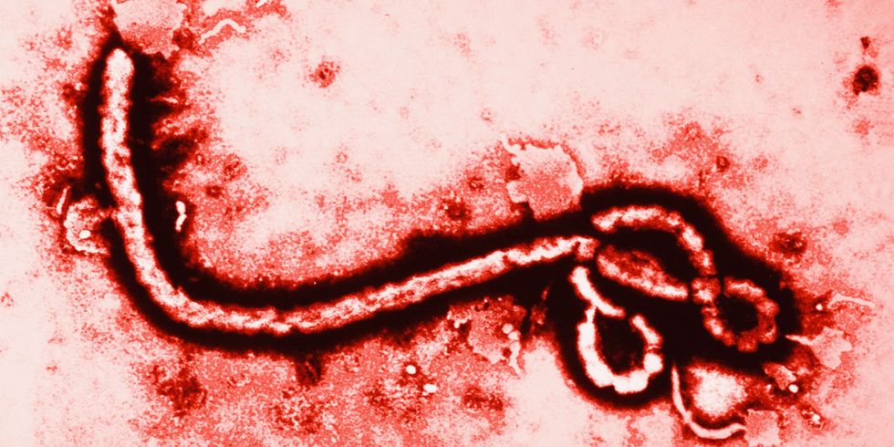 An Extensive Overview: The Ebola Epidemic