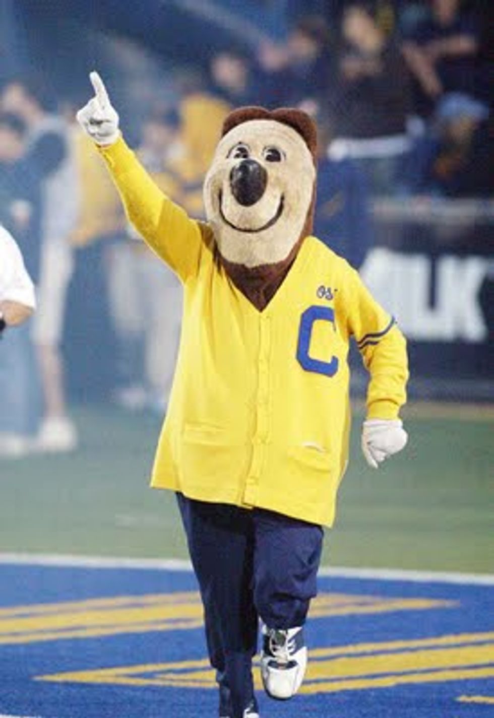 10 Telltale Signs You Are A Cal Bear