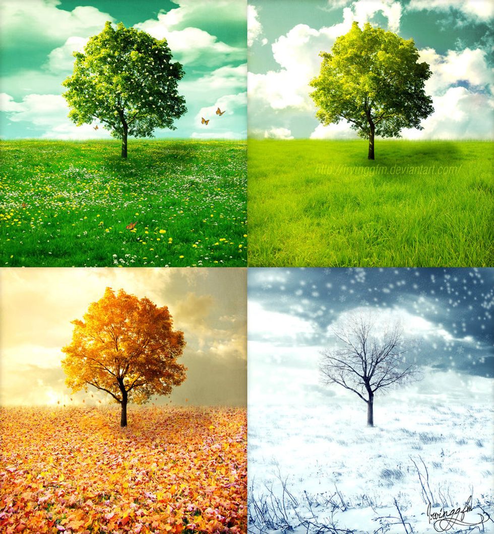 What Your Favorite Season Says About You?