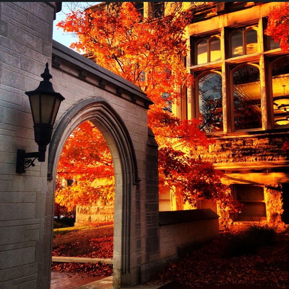 23 Reasons Why Indiana University is the Best School in the Nation
